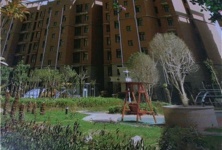 「鄭州開發(fā)商信息」 - 鄭州房產(chǎn)超市