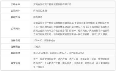 買房首先看開發(fā)商,鄭州有哪些開發(fā)商是國(guó)資主導(dǎo)?