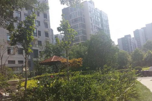 東方鼎盛時代三期優(yōu)點 不足,東方鼎盛時代三期怎么樣,東方鼎盛時代三期周邊房產(chǎn)中介經(jīng)紀(jì)人評價 鄭州安居客